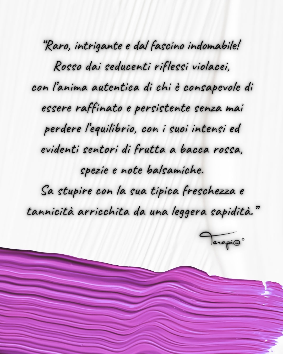 Terapi@ Susumaniello IGP Salento - 3 o 6 bottiglie